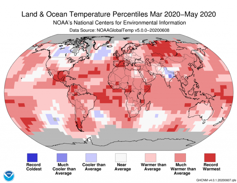 Climate change is irreversible | Corporate ESG reports transform